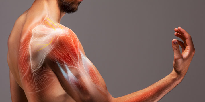 NAVIGATING MUSCLE MASS LOSS CONCERNS WHILE TAKING AK TWISTED WELLNESS: YOUR COMPREHENSIVE GUIDE