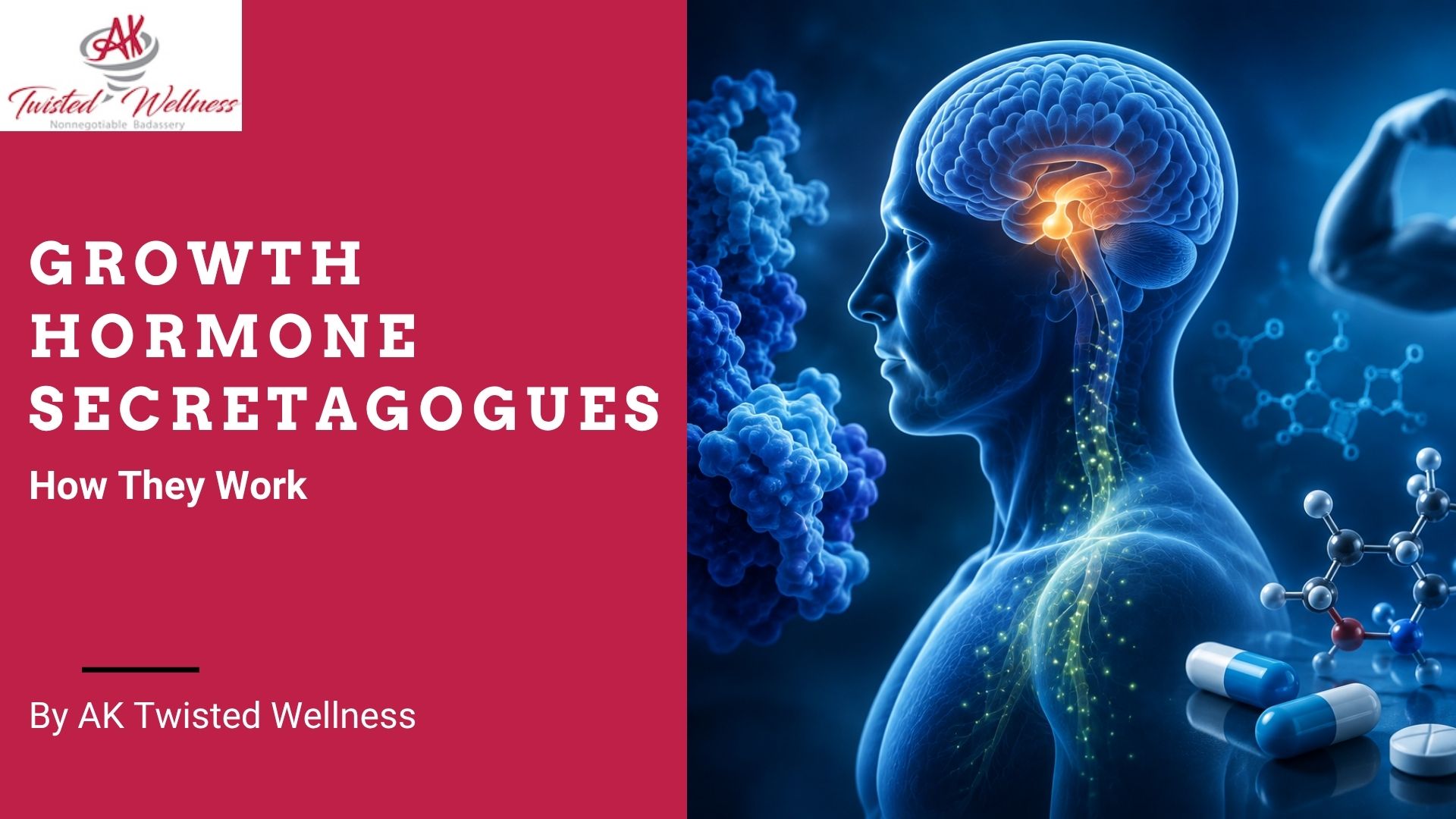 growth hormone secretagogues